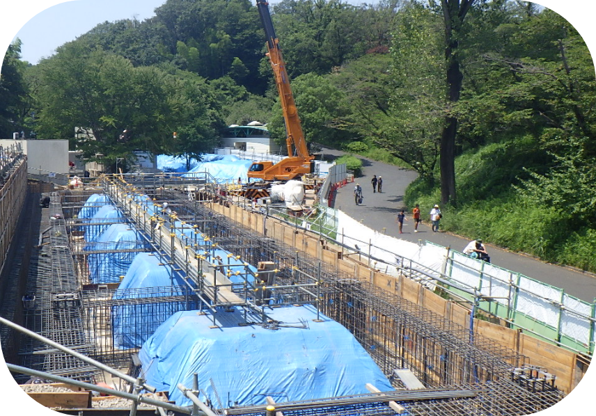 プロジェクトの様子