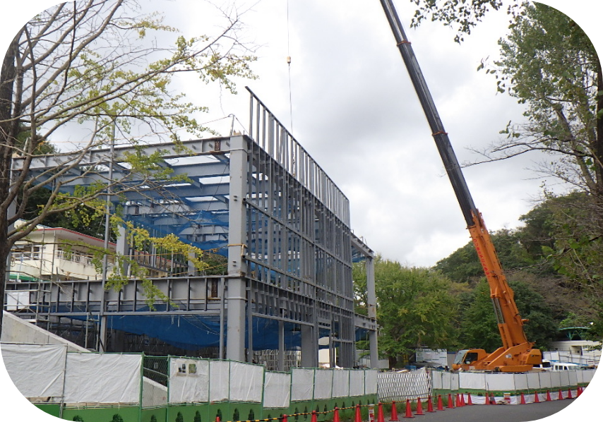 プロジェクトの様子